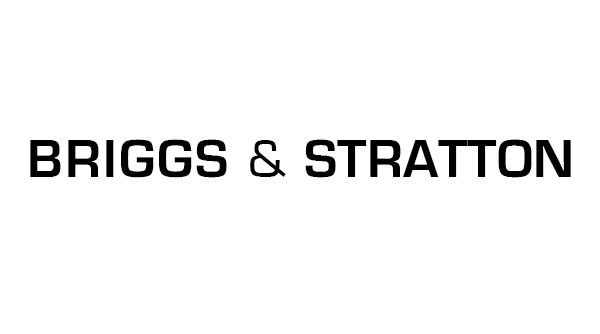 briggs and stratton (2)